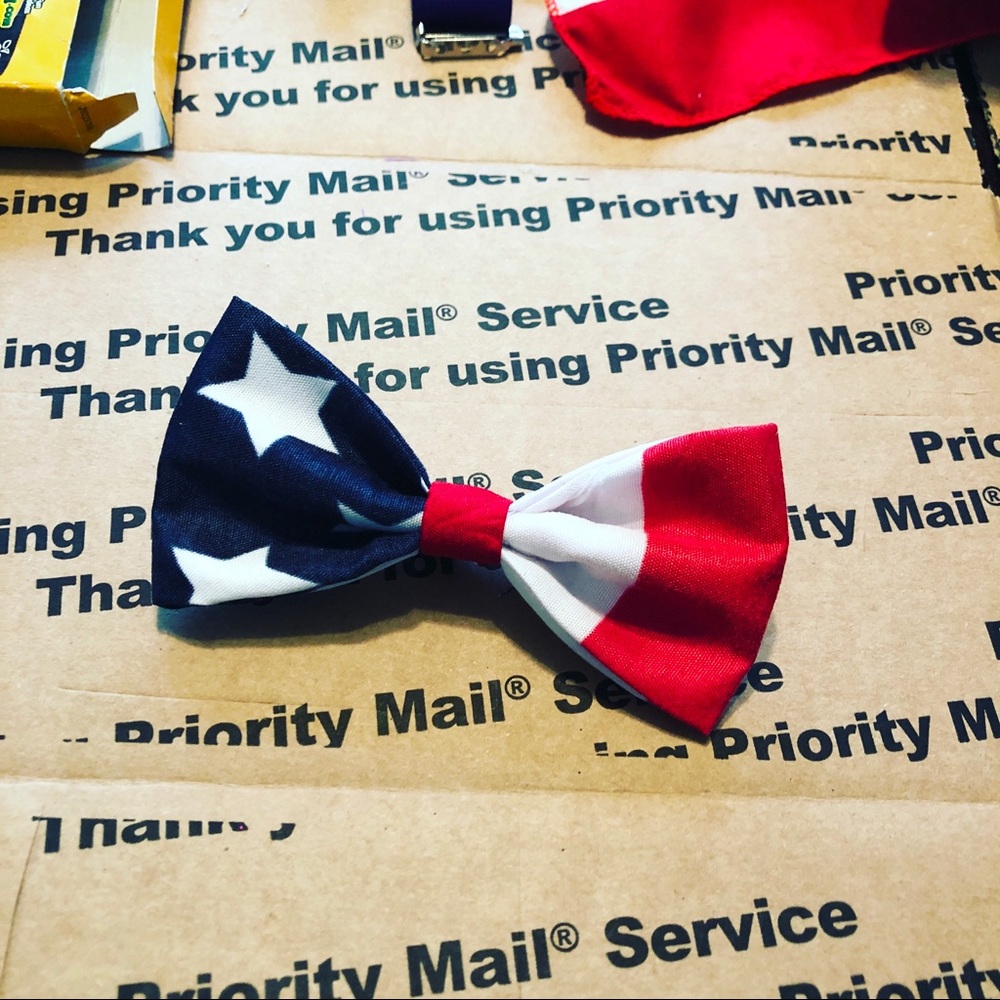 American Flag Bowtie Brooch
